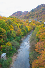 紅葉と川