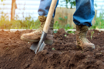 A worker digs the ground on a garden plot, a close-up of a shovel of a man's feet - obrazy, fototapety, plakaty