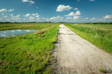 Fototapeta na wymiar Gravel road through green meadow and blue sky