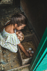 The child picks up the eggs in the chicken coop. Selective focus. © yanadjan