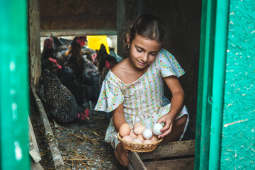 The child picks up the eggs in the chicken coop. Selective focus. © yanadjan