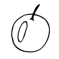 Cherry plum vector illustration, hand drawing doodle