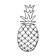 Pineapple vector illustration, hand drawing doodle
