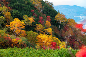 Obraz premium 北海道秋の風景 十勝岳連峰の紅葉