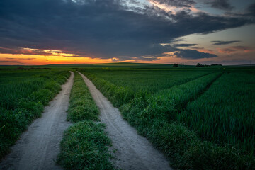 Unpaved road through green fields and sunset