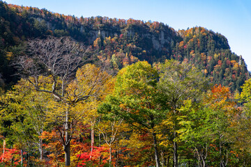 Obraz premium 北海道秋の風景 層雲峡の紅葉