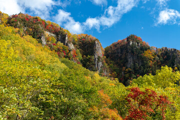 北海道秋の風景　層雲峡の紅葉