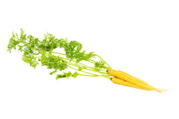 Bunch of fresh baby carrots isolated on white background