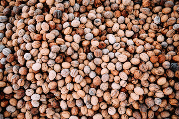 a large number of walnuts in a heap, covered with rime and hoarfrost. autumn gifts of nature.