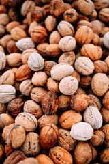 a large number of walnuts in a heap, covered with rime and hoarfrost. autumn gifts of nature.