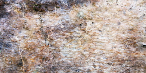close up of a rock