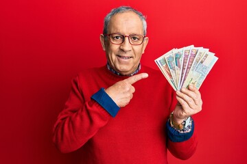 Handsome senior man with grey hair holding egyptian pounds banknotes smiling happy pointing with...