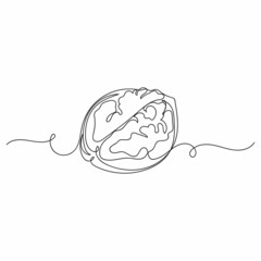 Vector continuous one single line drawing icon of beautiful walnut in silhouette on a white background. Linear stylized.