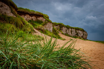 Low cliffs and sandy beach near Cromer in Norfolk under a stormy sky with tufts of sea grass in the...