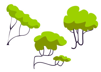 Set of three asian trees on white background. Vector illustration