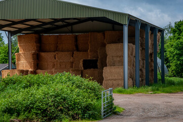 Bails of hay or straw in modern corrugated iron barn during a sunny day with an open gate in the foreground © Steven F Granville