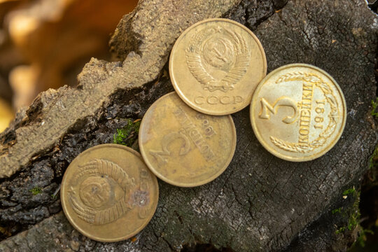 Old coins in the forest on the stump of an old tree.