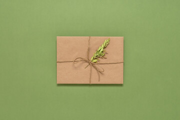 Tied brown envelope with dry boxwood branch on green olive paper background. Top view, flat lay. Vintage letter.