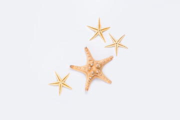 Fototapeta na wymiar Beautiful starfish on a white background. Top view, flat lay