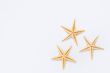 Fototapeta na wymiar Three starfish on a white background. Top view, flat lay