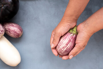 five oval eggplant white and violet in a woman's hand. Mock up for concept a variety of healthy food