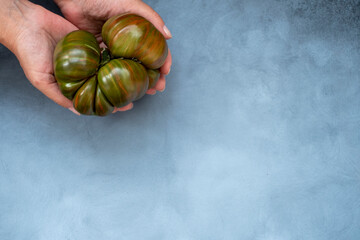 Ugly tomatoes in women hands, concept organic vegetables