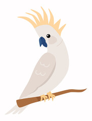 Parrot cockatiel sits on a branch in the rainforest. Vector illustration in flat style  isolated on background