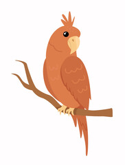 Beautiful tropical bird in scandinavian style. Vector illustration of parrot on white background