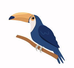 tropical toucan sitting on a branch. Vector illustration isolated on background