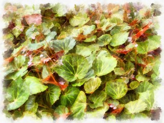 tree with beautiful leaves watercolor style illustration impressionist painting.