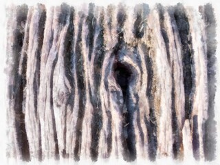 bark watercolor style illustration impressionist painting.