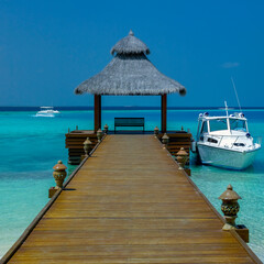 Luxury Resort - The Maldives