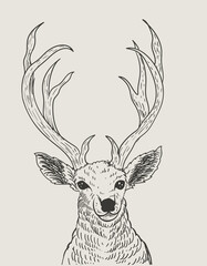 illustration vintage Deer head engraving style