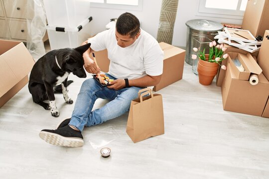 Young latin man eating taka away sushi food sitting on the floor at new home with dog.