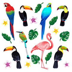 Set of tropical birds and tropical flowers and leaves. red billed and rainbow billed toucans, flamingos, parrots, motmot, frangipani plumeria, monstera, banana leaves. Vector isolated illustrations © Irina