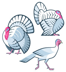 Stylized Birds - Domestic Turkey