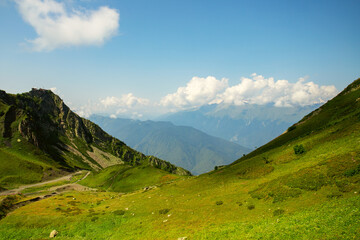 Fototapeta premium mountain climbing scene, meadow landscape in summer on the top of the alps,panoramic view of the peaks and green grass