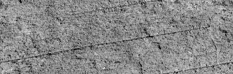 Old tree gray seamless background