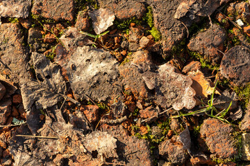 Autumn background broken brick rotten leaves