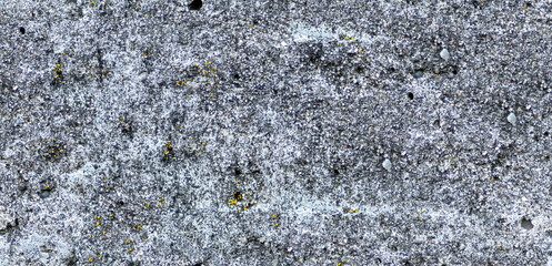 Seamless Concrete Background With Yellow Mold Fungus