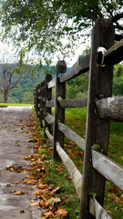 Wood Fence Line along Sidewalk with Fall Foliage