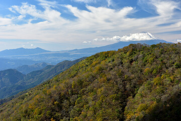 Fototapeta na wymiar 富士山と紅葉（日本の秋　丹沢・塔ノ岳／鍋割山の道）