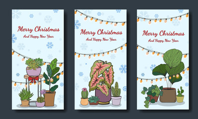 Merry Christmas with Potted plants Vector of greeting, Vector design element.