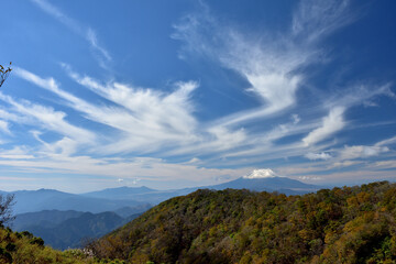富士山と紅葉（日本の秋　丹沢・塔ノ岳／鍋割山の道）