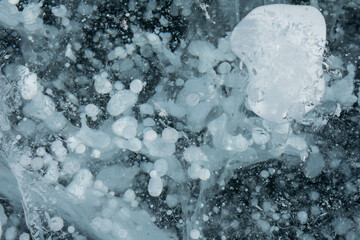 methane bubbles in a clear frozen lake in winter