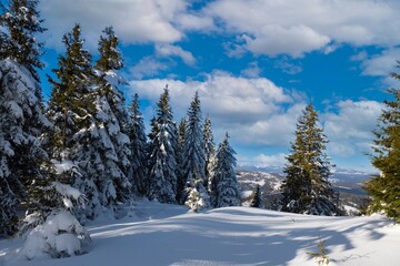 Fototapeta na wymiar Beautiful view of the ski slope on a sunny winter