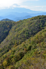 富士山と紅葉（日本の秋　丹沢・塔ノ岳／鍋割山の道）