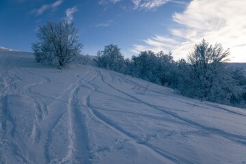 Fototapeta na wymiar ATV and ski tracks in snow on frosty winter day