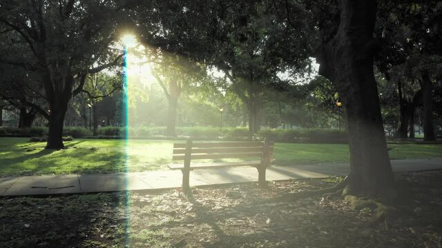 Aerial: Spanish Moss And Oak Trees In Forsyth Park with light rays shining through the trees. Savannah, Georgia, Usa.