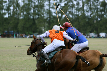 Polo players. Traditional Argentine game. Ball game with riders and horses. Horseback riding team...